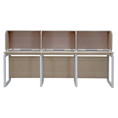 ModuDesk Pro